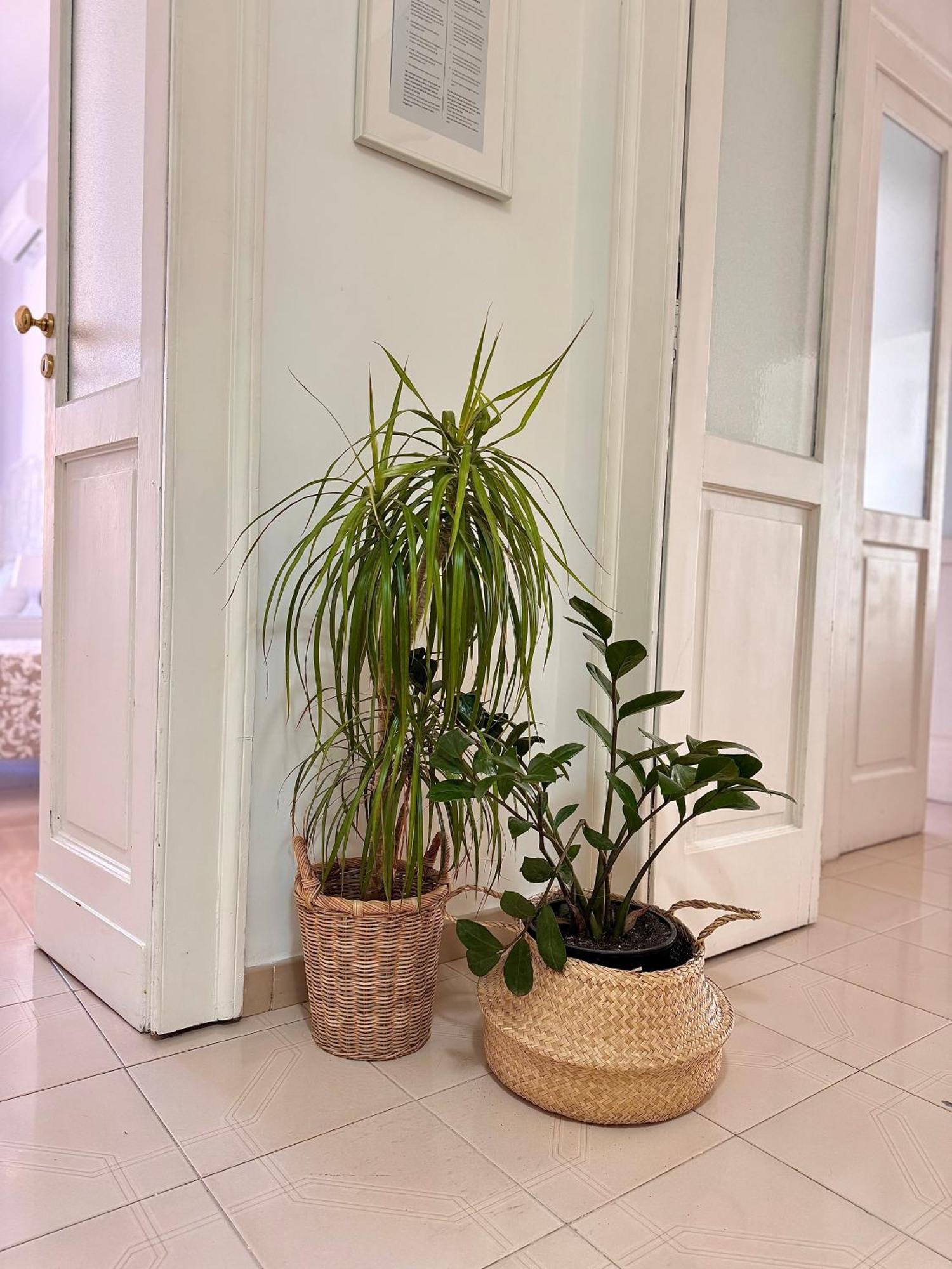 Galasso Apartments Naples Luaran gambar